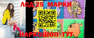 крисы Моздок