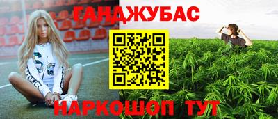 крисы Моздок