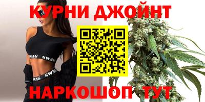 крисы Моздок