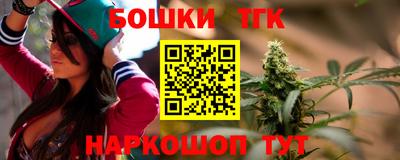 крисы Моздок